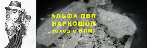 мет Бородино