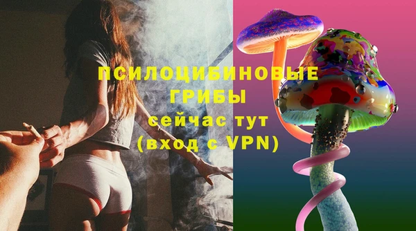 мет Бородино