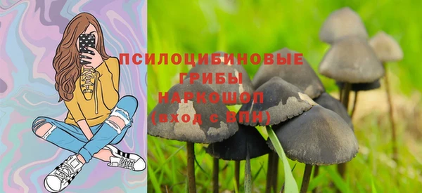 мет Бородино