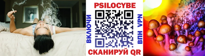 Купить где  Тосно  Псилоцибиновые грибы Cubensis 