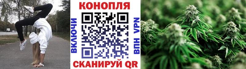 Купить закладки  Тосно  Канабис план 